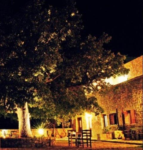 Vlyhada Guesthouse Pírgos Dhiroú Dış mekan fotoğraf